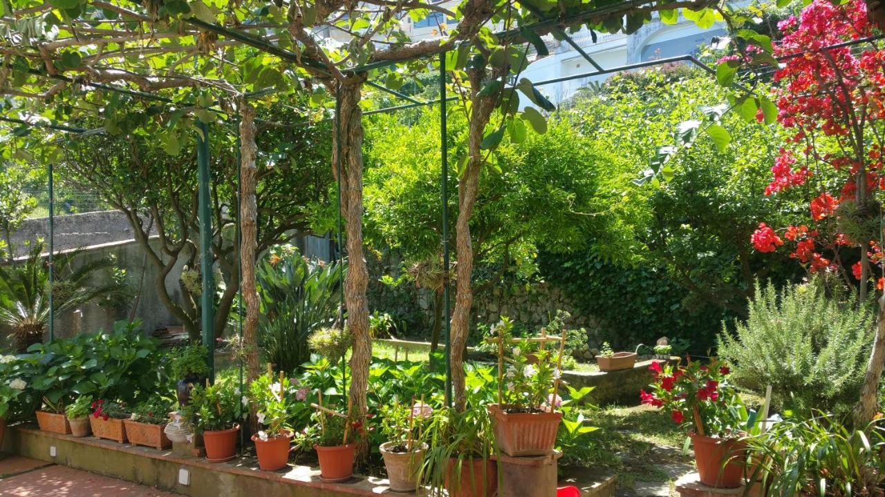 Villa Dei Fiori B&B Capri Exterior foto